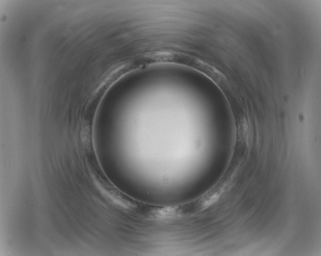 X0000078830092200611201259