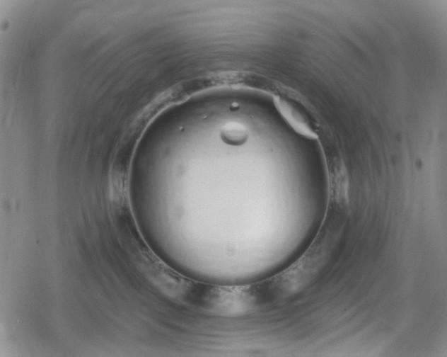 X0000078830093200611201259