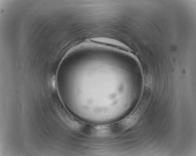 X0000078830095200611201259