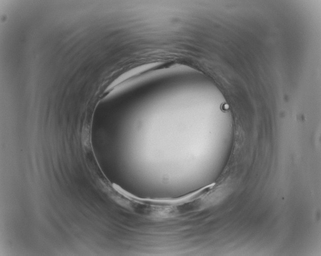 X0000078830096200611201259