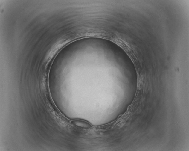 X0000078830098200611201258