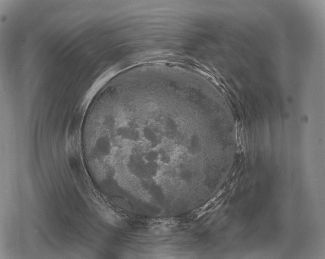 X0000078830099200611201258