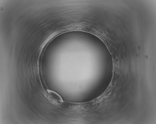 X0000078830100200611201258