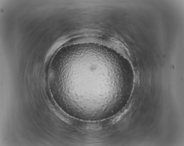 X0000078830101200611201258