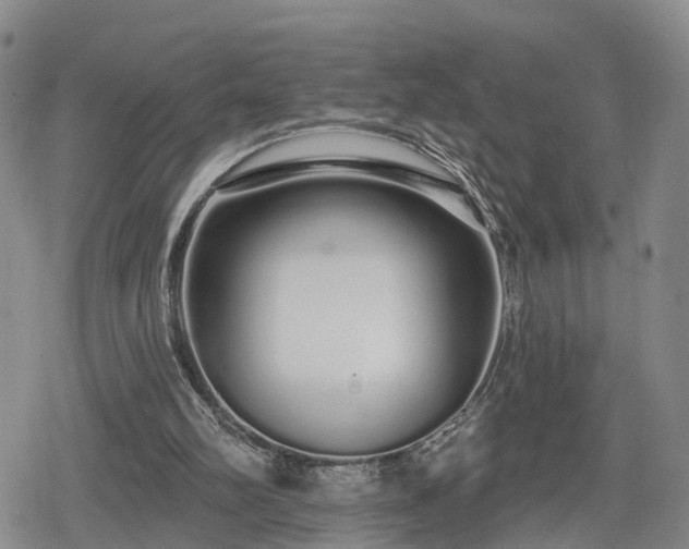 X0000078830102200611201258