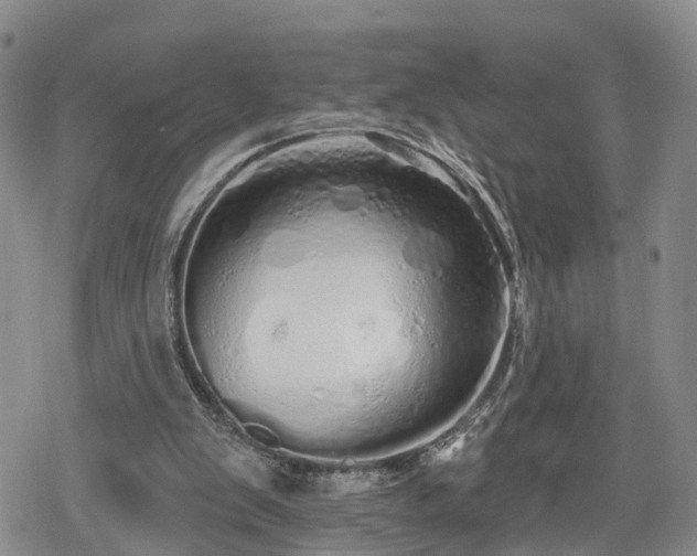 X0000078830103200611201258