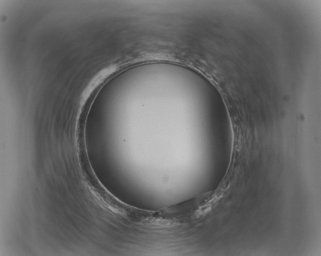 X0000078830104200611201258