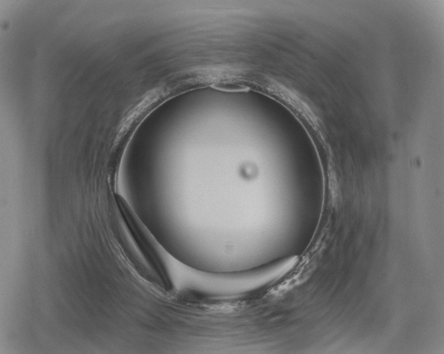 X0000078830105200611201258