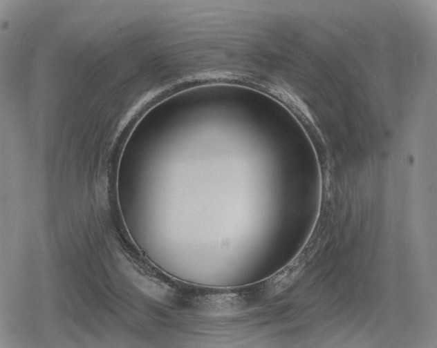 X0000078830108200611201258