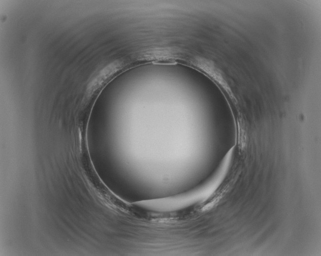 X0000078830109200611201258