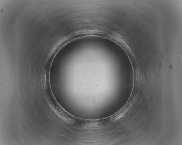 X0000078830110200611201258