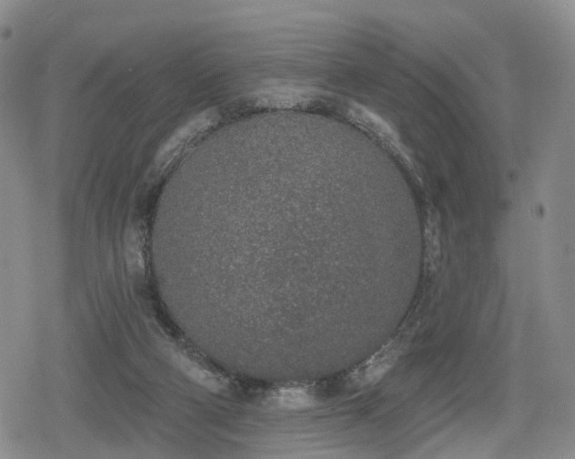 X0000078830114200611201258