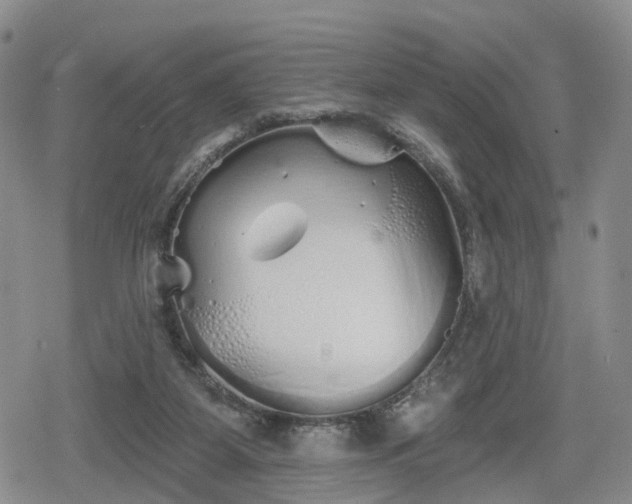 X0000078830115200611201258