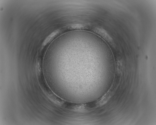 X0000078830116200611201258