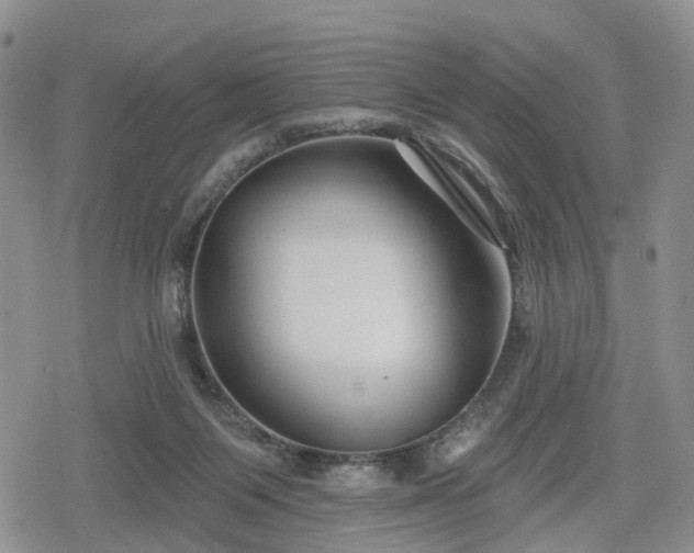 X0000078830119200611201258