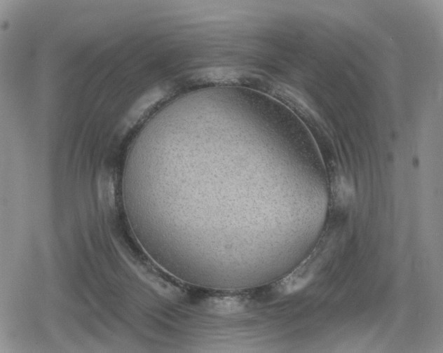 X0000078830120200611201258