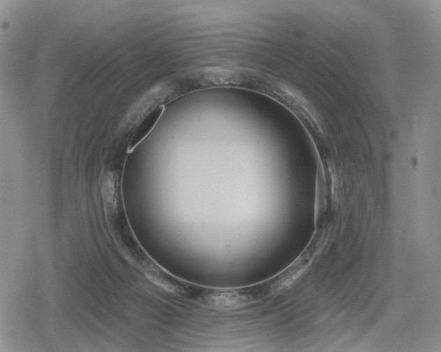 X0000078830121200611201258