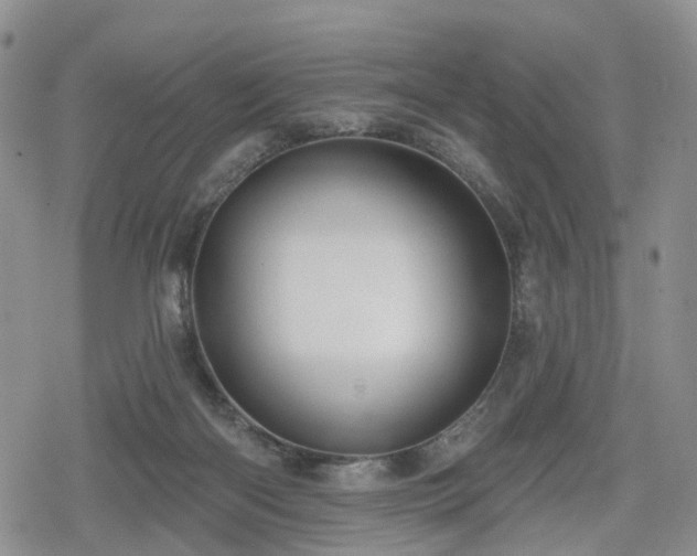 X0000078830122200611201258