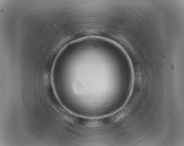 X0000078830123200611201258