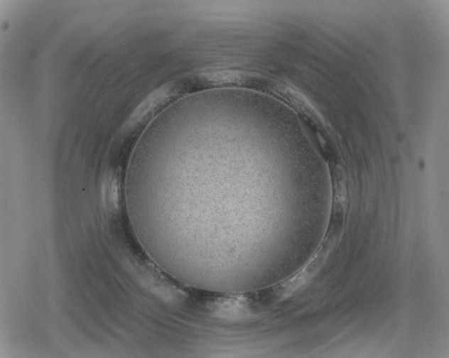 X0000078830124200611201258