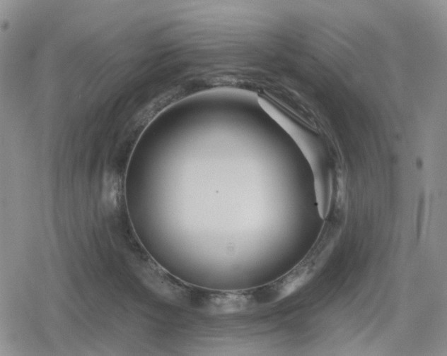 X0000078830125200611201258