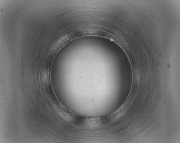 X0000078830126200611201258