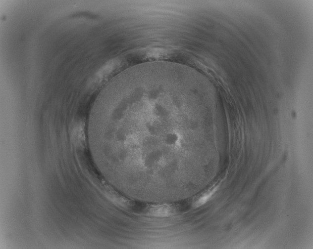 X0000078830127200611201257