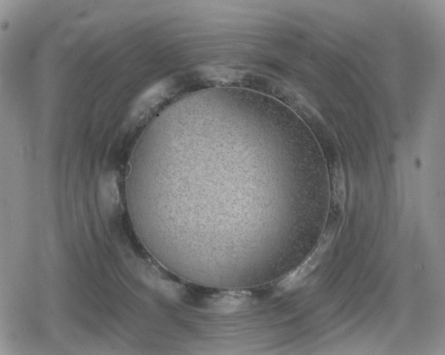 X0000078830128200611201257