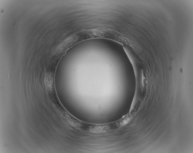 X0000078830129200611201257