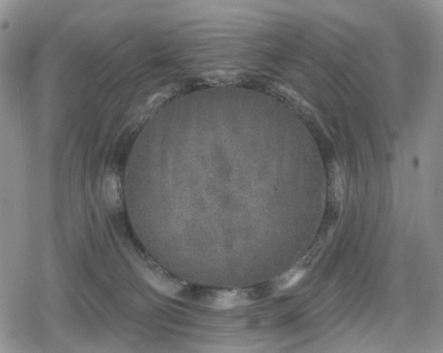 X0000078830130200611201257