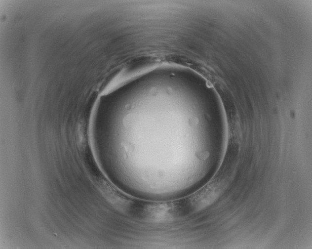 X0000078830131200611201257