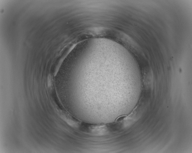 X0000078830132200611201257