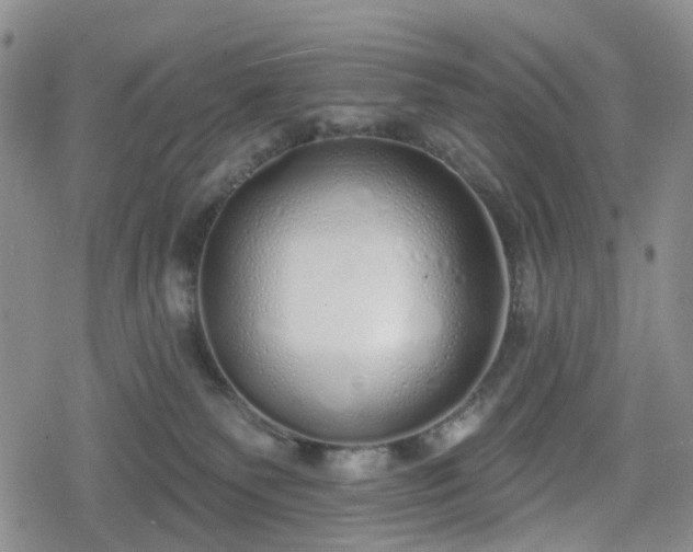 X0000078830135200611201257