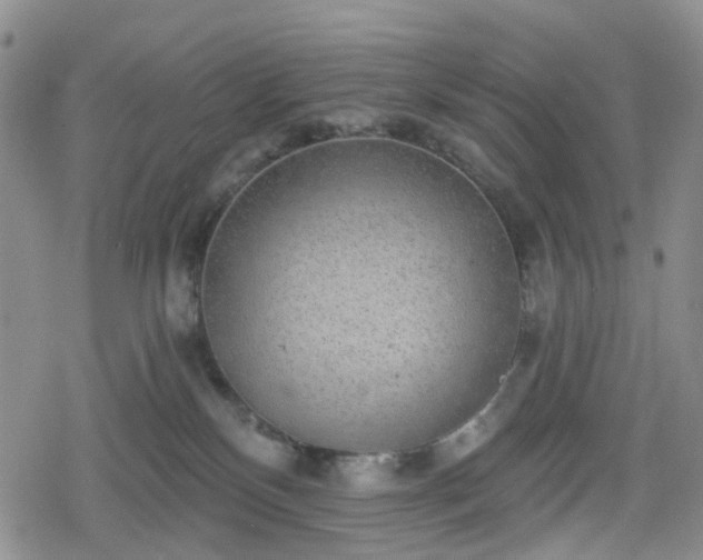 X0000078830136200611201257