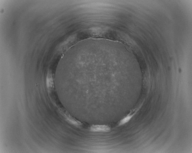 X0000078830137200611201257