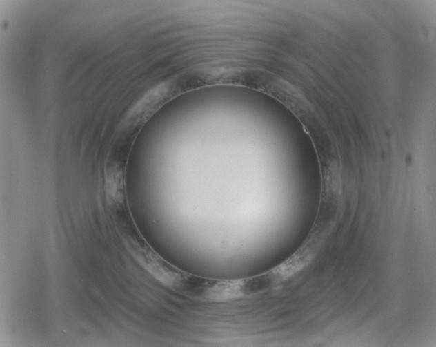 X0000078830138200611201257