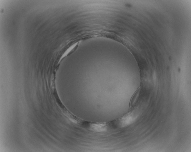 X0000078830139200611201257