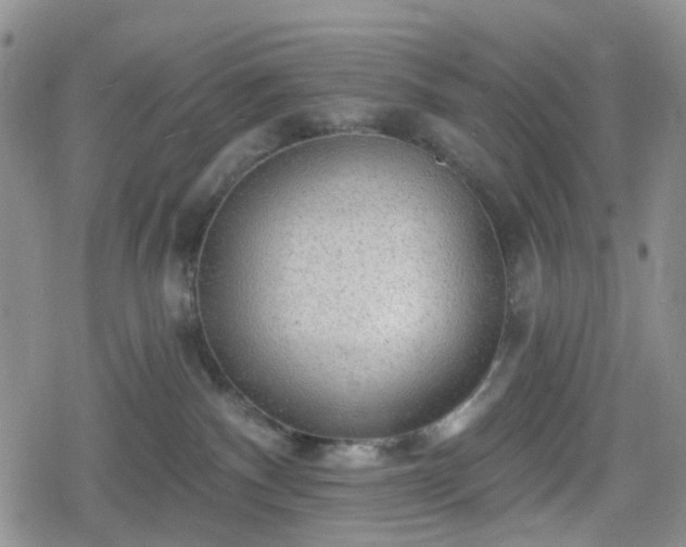 X0000078830140200611201257