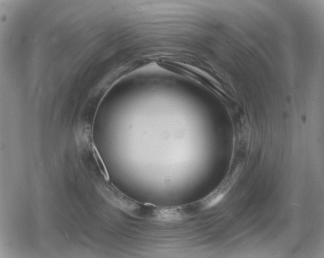 X0000078830141200611201257