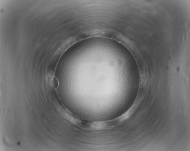 X0000078830142200611201257