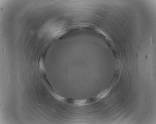 X0000078830143200611201257