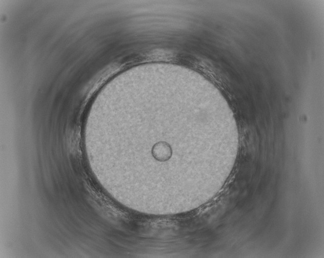 X0000078830146200611201256