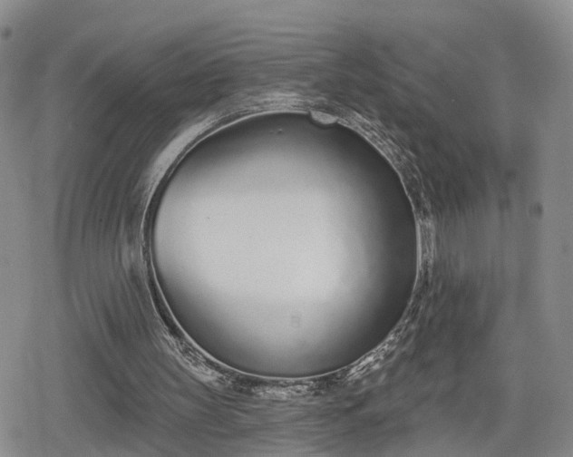 X0000078830147200611201256