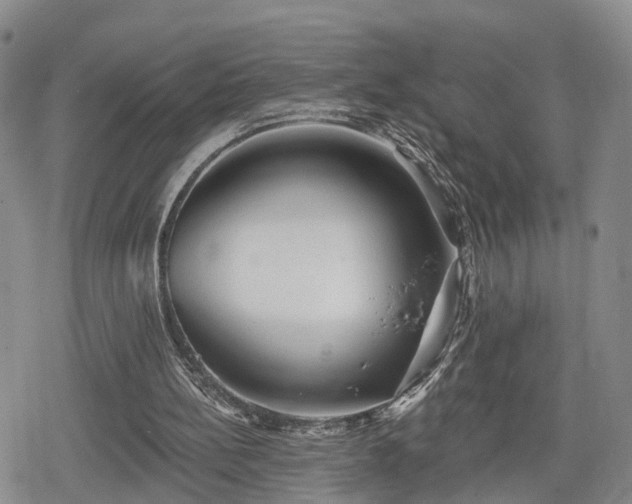 X0000078830148200611201256