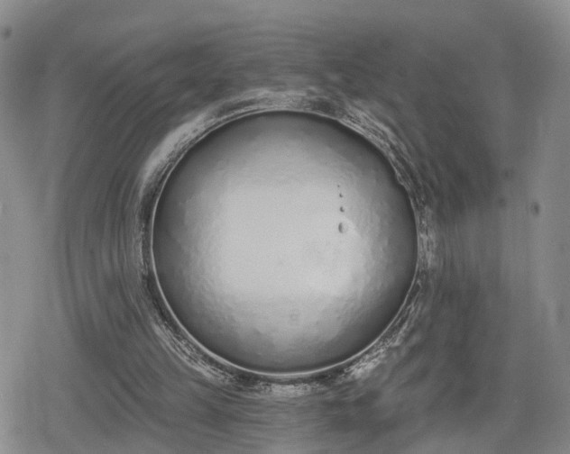 X0000078830149200611201257