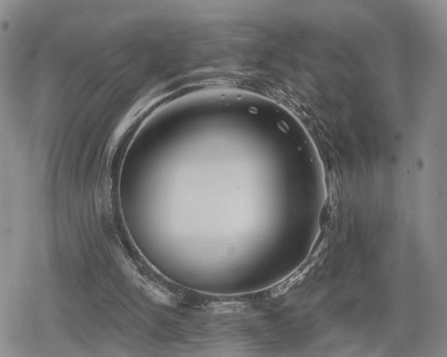 X0000078830150200611201257