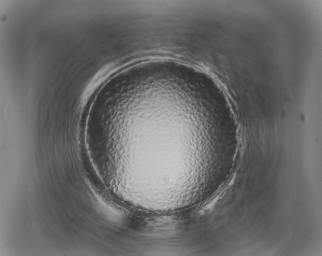 X0000078830151200611201257