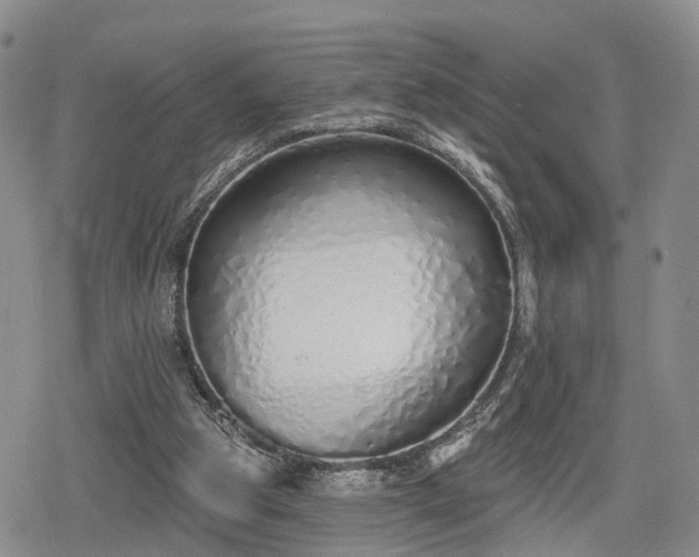 X0000078830153200611201257