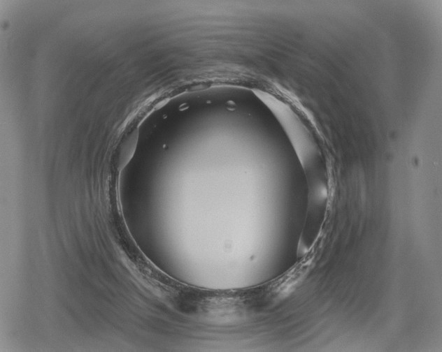 X0000078830154200611201257