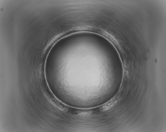 X0000078830155200611201257